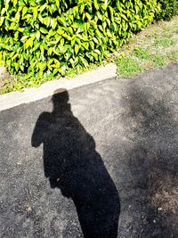 Shadow of man on footpath by road in city