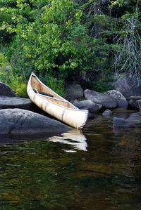 Scenic view of river flowing in forest