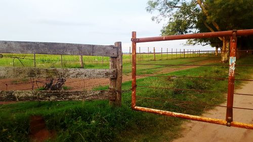 fence