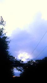 Low angle view of silhouette trees against sky