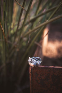 Close-up of wedding rings on field