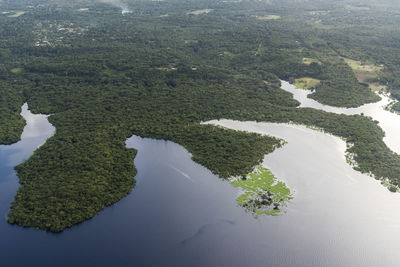 Beautiful aerial view to flooded green amazon rainforest and river