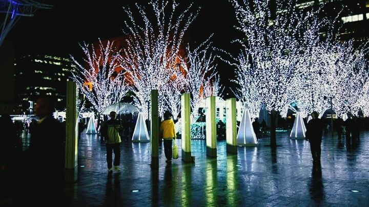 reflection, water, waterfront, night, illuminated, tree, built structure, in a row, architecture, no people, nature, outdoors, side by side, lake, fountain, building exterior, tranquility, decoration, multi colored