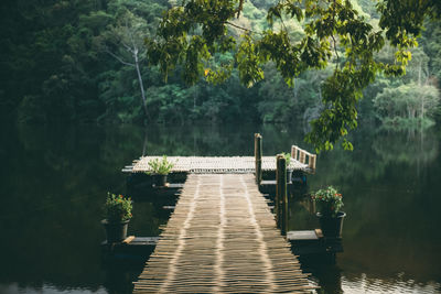 Pier over lake in park