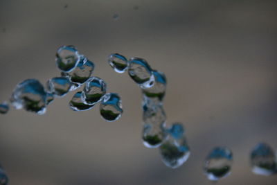 Close-up of bubbles against blurred background