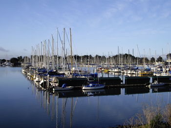 Boats in harbor