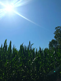 sky