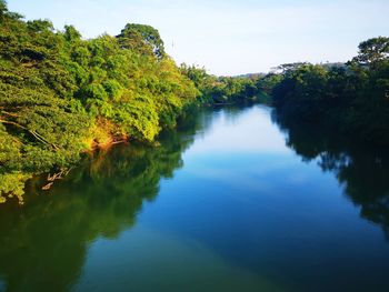 Scenic view of lake amidst trees against sky