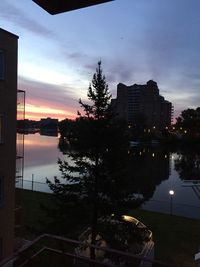 Silhouette trees by calm lake at sunset