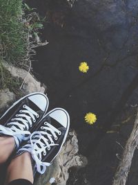 Low section of person wearing canvas shoes beside pond