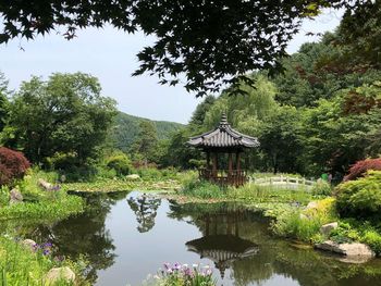 High angle view of gazebo by pond in garden