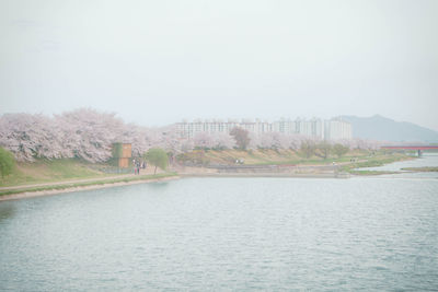 Scenic view of river by buildings against clear sky