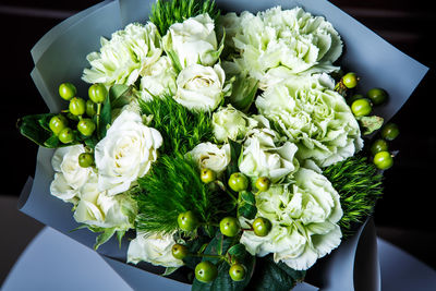 High angle view of white roses
