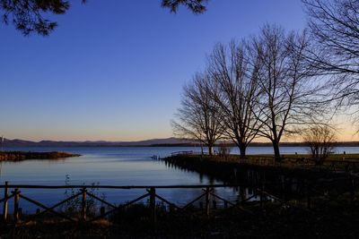 Silhouette bare tree by lake against clear sky