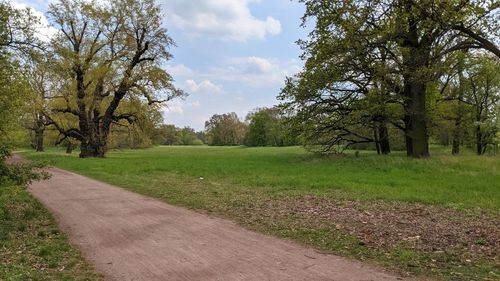 View of park against sky