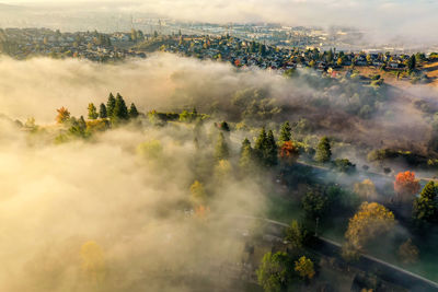 High angle view of trees on landscape against sky