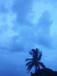 Low angle view of silhouette coconut palm tree against blue sky