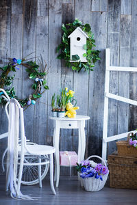 Potted plants on table against wall