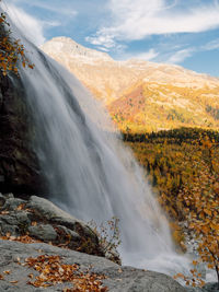 Scenic view of waterfall in forest