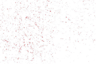 Flock of birds on white background