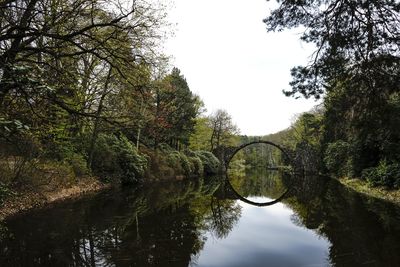 Reflection of trees on water against sky