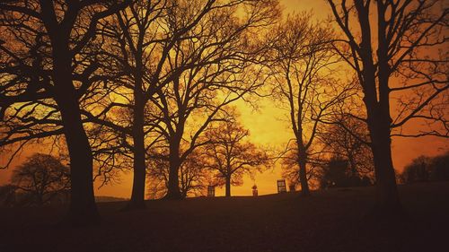Silhouette trees on landscape against orange sky