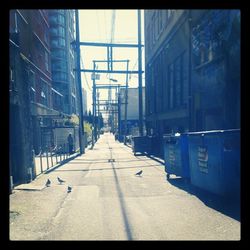 Empty road along buildings