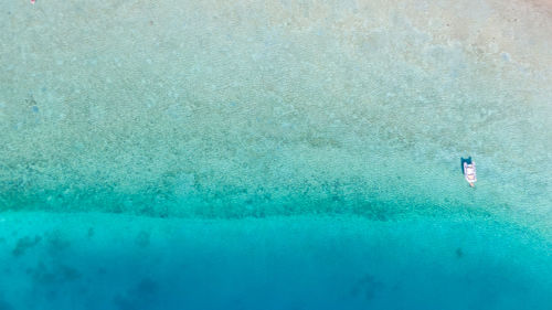 Man swimming in sea