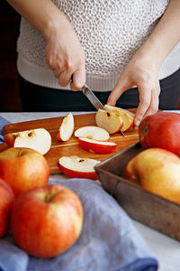 Midsection of woman cutting apple on cutting board while standing by table