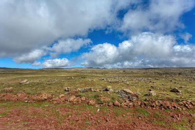 Scenic view of field against sky