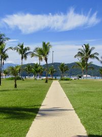 Scenic view of palm trees against sky