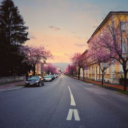 Cars on road by trees against sky