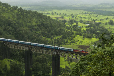 Train passing through forest