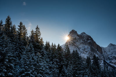 Low angle view of snowcapped mountain against sky