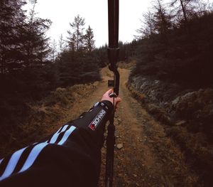 Low section of person on road amidst trees against sky