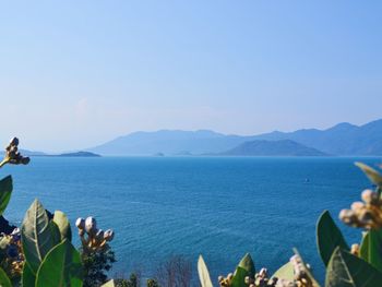 Scenic view of mountains