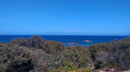 Scenic view of sea against clear blue sky