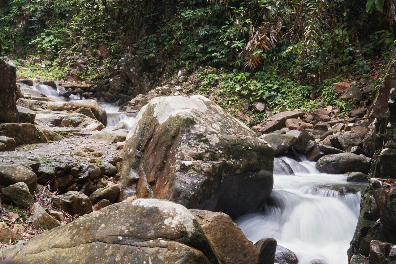 STREAM AMIDST ROCKS IN FOREST