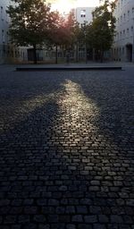 Cobblestone street in city