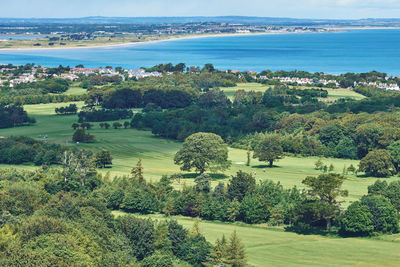 High angle view of trees on field