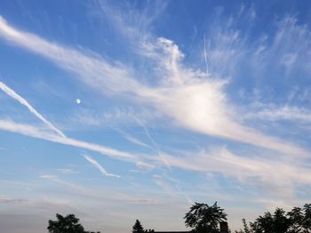 Low angle view of silhouette trees against blue sky