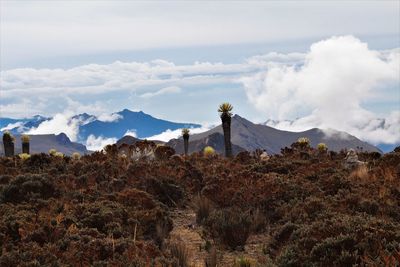 Panoramic view of landscape against sky