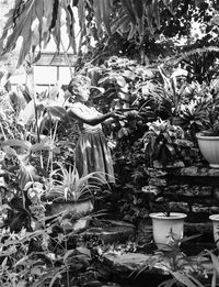 Potted plants in garden