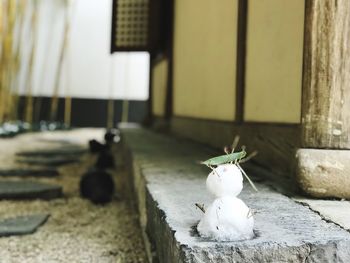 Close-up of snowman on curb