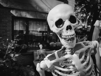 Closeup of halloween skeleton with another skeleton in background 