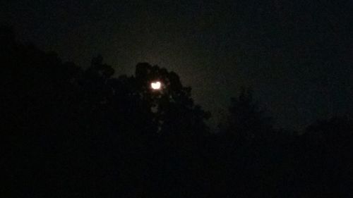 Low angle view of moon in dark sky