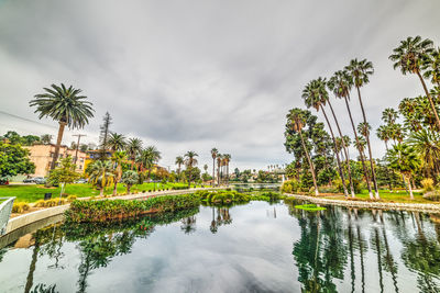 Palm trees by lake against sky