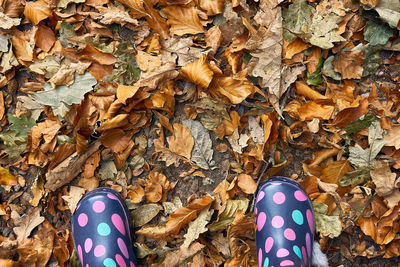 Low section of person with autumn leaves