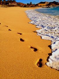 Scenic view of beach