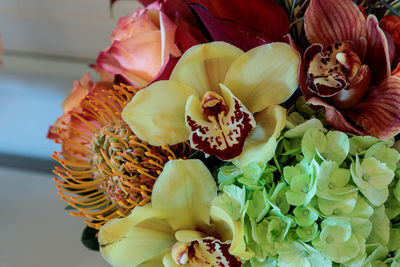 Close-up of flowers